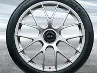 20'/21' 991.2 GT3 RS Magnesium, in Brilliant Silver (satin-gloss) Alloy Wheels Original Porsche - 99104460340