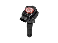 Pack de bobines d'allumage direct au plasma. Porsche 996 / Boxster 986 / Boxster 987 / 997 / Cayman - 99760210400, 99760210402, 99660210400, 99760210404, 0986221119, 90660210200, 90660210301, 99660210100, 99660210101, 99660210200, 99760210401, 99760210700, 99760210702, 99760210406, 99760210405, 90660210101, 99760210703 - EUPD6004201R