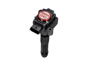 Pack de bobines d'allumage direct au plasma. Porsche 996 / Boxster 986 / Boxster 987 / 997 / Cayman - 99760210400, 99760210402, 99660210400, 99760210404, 0986221119, 90660210200, 90660210301, 99660210100, 99660210101, 99660210200, 99760210401, 99760210700, 99760210702, 99760210406, 99760210405, 90660210101, 99760210703 - EUPD6004201R