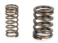 Valve spring set. Porsche 924 - 046109623, 048109623, PCG109623