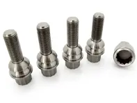 Felgensicherungssatz Titan für Porsche 986/996/997/Cayman - 971698030B, PAF009593, 99736105702, 99736198010, 3608300002, 99736198009, WHT006979A, 3608300002/1, 3608300001/1, 3608300001, 3608300001BLK, 99736120000