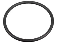 Dichtring 31 x 2 Hochdruck-Kraftstoffpumpe. Porsche 95B Macan / 957 / 958 / 9YA Cayenne / 970 / 971 Panamera - WHT005184 - 172666