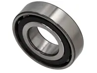 Roulement à rouleaux cylindriques. Porsche 996T / 997T - 19383, 99911019200