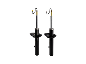 Stoßdämpfer (PAAR), Hinten. Porsche 982 Boxster / Cayman (718) 2017>> - 982513031F, 982513031A, 982513031D