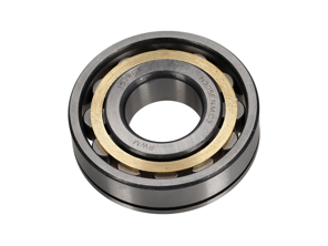 Cuscinetto a rulli cilindrici. Porsche 911/964 - 99911014203