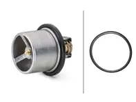 Thermostat insert. Porsche Carrera GT - 9971062258A, 8MT358083061, 9971062258A, 98010612501, 98010612503