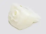 Remvloeistof reservoir. Porsche 964 / 993 / Carrera GT - 99335511350, 96435511351