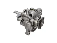 Servopumpe. Porsche 9PA1 Cayenne (957) S / GTS / Turbo / Turbo S 4.8L 2009-10 - 955314050AX, 95531405010, 95531405011, 955314050AU