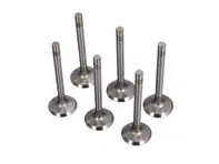 Kit valvola di scarico testata, SET DA 6. Porsche 911 S / TU / T / E - 90110540850