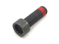 Flywheel bolt. Porsche 997 / 991 / Boxster / Cayman / Cayenne / Macan / Panamera - PAF906651, N90665101