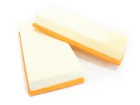 Luftfilter-Set (2 Stück) für Porsche 955 / 957 / 958 Cayenne - 95811013000, 95511013100 - GA-C39219