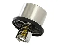 Thermostat insert. Porsche Carrera GT - 9971062258A, 8MT 358 083-061, 8MT358083061, 9971062258A, 98010612501, 98010612503 - THD182