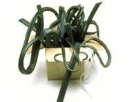 Restoration Rubber Seals Kit. Porsche 911 Coupe Standard Body