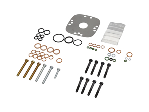 Dichtungssatz für Kraftstoffverteilerkopf. Porsche 924 - 0 438 100 003, 063133481X, 063133481