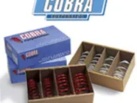 Tieferlegungsfedern 30 mm vorn (2er-Set) PORSCHE 968 ab 1992 - 94434353104904, 94434353104, 94434353109, 94434353109904, 94434353103, 94434353103904, 94434353105, 94434353105904