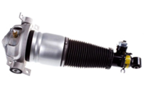 Jambe de suspension pneumatique arrière. Porsche Cayenne 2002 - 2010 - 350019000001, 95533303444/1, 95533303342, 95533303343, 95533303344, 95533303320, 95533303321, 9553330332, 95533303442, 95533303443, 95533303444, 95533303420, 95533303421, 95533304322, 350019100001, 95533303344/1