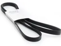 Antriebsriemen, Fahrzeuge mit Klimaanlage. Porsche 996 Turbo - 99919237950, 99919237951