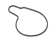 Afdichting voor waterpomp. Porsche 958 Cayenne 4.2L Diesel - 95810611920, 95810603350, 95810603351