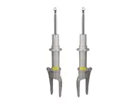 Shock absorbers, Front. Porsche 970 Panamera Standard Chassis - 97034304103, 97034304104, 97034304130, 97034304131