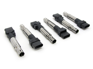 Zündspulenpaket. Porsche Cayenne 955 V6 / Cayenne 957 V6 - 95560210105, 0040102044, 40102041, 95560210100, 95560210101, 95560210102, 95560210103, 95560210104, 95560210105, 95860210100 - ZSE044, ZSE044