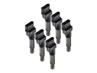 Pacco bobine di accensione. Porsche Cayenne 955 V6 / Cayenne 957 V6 - 95560210105, 0040102044, 40102041, 95560210100, 95560210101, 95560210102, 95560210103, 95560210104, 95560210105, 95860210100 - ZSE044, ZSE044