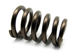 Molla della valvola. Porsche Boxster 986 2.5L / 996 3.4L - 99610511953