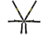 SCHROTH PROFI 2x2 FHR 6-Punkt verstellbarer Renngurt. Porsche 991 Coupé - 94660-0, 94660-2