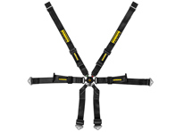 SCHROTH PROFI 2x2 FHR 6-Point adjustable race harness. Porsche 991 coupe - 94660-0, 94660-2