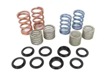 StreetCup spring package set. Porsche 991 GT3 / GT3 RS BBi Autosport - 99134353180, 98134353180, 99133353181, 99133353182, 99133353183 - bbi.991.401.0005