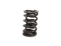 Jeu de ressorts de soupape d'échappement. Porsche 987.2 Boxster S / 987.2 Cayman S / 997.2 - 9A110511501