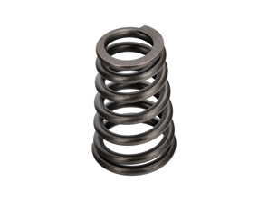 Molla della valvola. Porsche 996 3.6L 08/2001>> - 99610511801